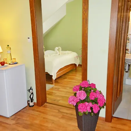 招待所 帕泽丹妮拉旅馆