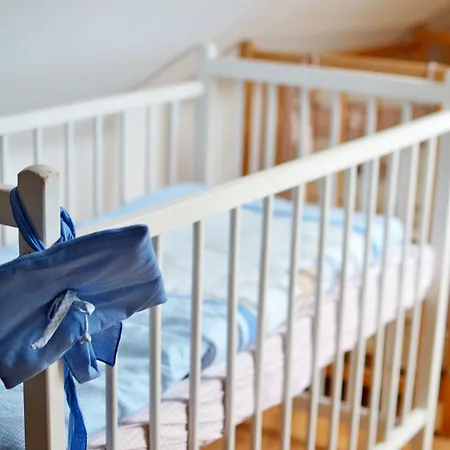 招待所 帕泽丹妮拉旅馆 3*